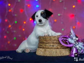           2, 5      - /    , -,  