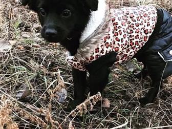  ,   4 ,   ,    ,     ,    ,  ,   