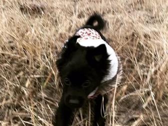  ,   4 ,   ,    ,     ,    ,  ,   