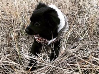  ,   4 ,   ,    ,     ,    ,  ,   