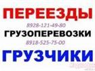   ,      , 8928-121-49-80, 8918-525-75-00 32715572  --