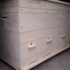 ����-������ �� 14,16,20 � 24 �����