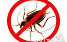 ����������� �����������