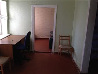 ����� ����  ���, �-� ��� 33141279 � �������-��-����