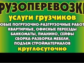  foto ,        , 34285936  --