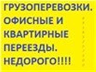  foto ,     , 89185257500, 89281214980! ! !   34300885  --