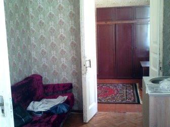      3-,  ,  , ,  34513699  --