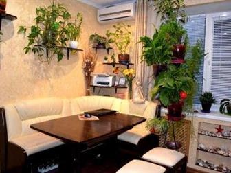 ���������� ����������� ������ ����� ���� 1-��, ���, ��������, ��, ���������� 35149713 � �������-��-����