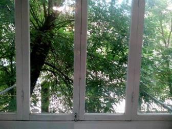 ����� ���������� ������ ����� C�a� 2-��, Ce���a�, ��, Cep�a��o�a, p-� a�����c�pa��� 35787689 � �������-��-����