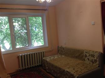 ������� ��������� ����������� ������ ����� �������� � ������������, 35788434 � �������-��-����