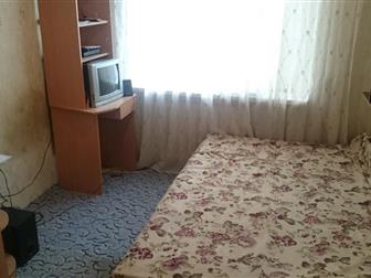     59, ,    ,  ,     (  ),   ,   ,  --