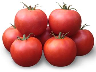      KS 835 F1   36626830  --