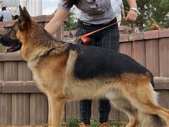 ���� � �������-��-����