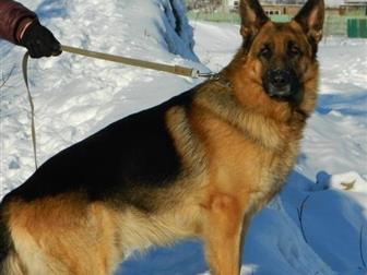 ���� � �������-��-����