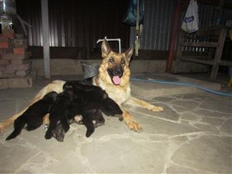 ���� � �������-��-����