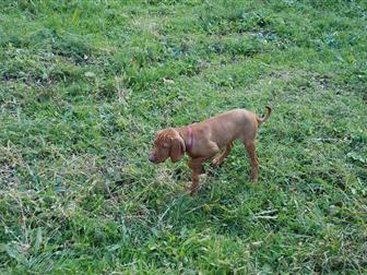 ����� � �������� ���������� ����� �������� � �������-��-����