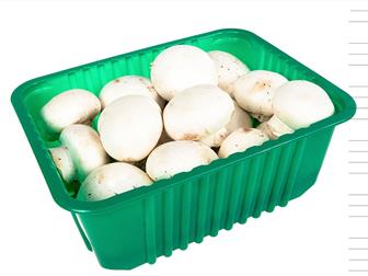  foto       , 38413495  --