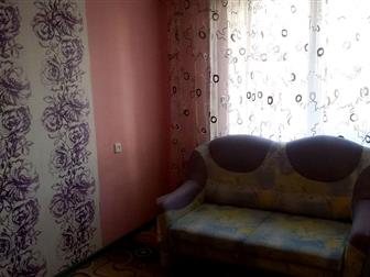 ����������� ����������  C�a� 3-��, A�e�ca��po��a, �p-�� 40-�e��� �o�e��, oc�, po�a 38683901 � �������-��-����