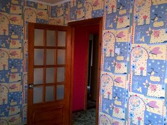 ������ foto  C�a� 3-��, A�e�ca��po��a, �p-�� 40-�e��� �o�e��, oc�, po�a 38683901 � �������-��-����