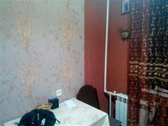 ���������� ���������� ������ ����� ���� 1-��, ����������, 24-� �����, �-� �������������� ����� 40026636 � �������-��-����