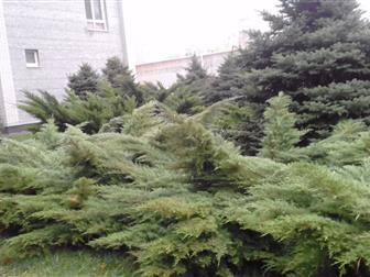       ,    ,  ,   ,    , , ,  --