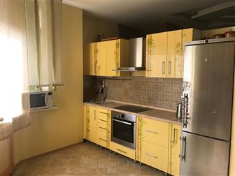             -  2006  ,   -1-  --