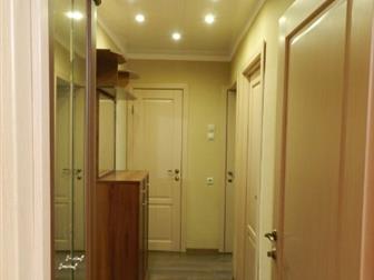   /               , ,     --