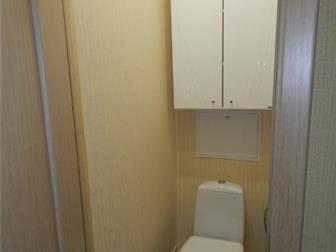   /               , ,     --