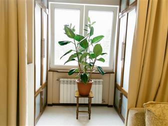   ,  ,  104/4   ,       ,       --