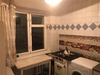    59/44/6,  5/5- ,  /,   ,    : , ,   --