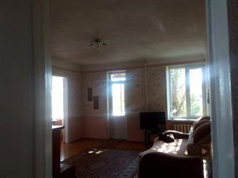      -   ,       ,   ,   320 ,  --