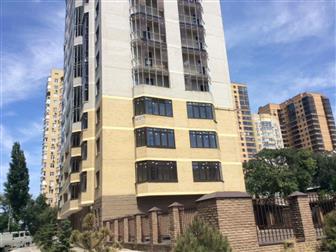  1-     ( ),     9-  19-   - ,   ,  --