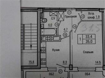  1-     ( ),     9-  19-   - ,   ,  --