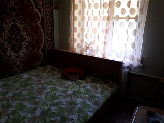    4-      ,      ,   ,      --