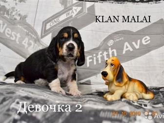          - ! , ,  21, 09, 20197   3  !   !  ,   --