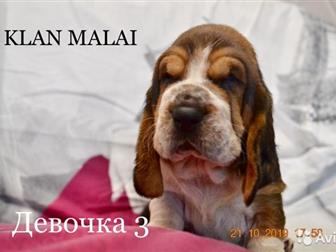          - ! , ,  21, 09, 20197   3  !   !  ,   --