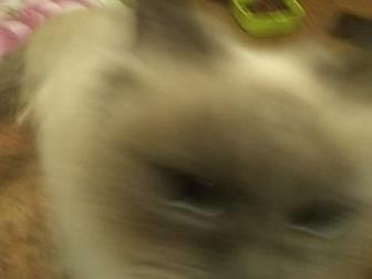     ,     ,      ,       ,       --