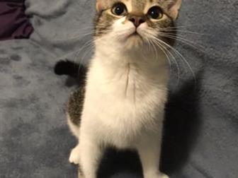  8-9 ,    ,      ,    ,  ,        ,       --