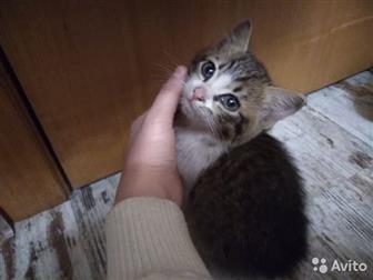 , ,     ,      ,            