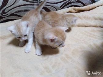    ,     ,  ,,    ,  ,   1 ,      ,  