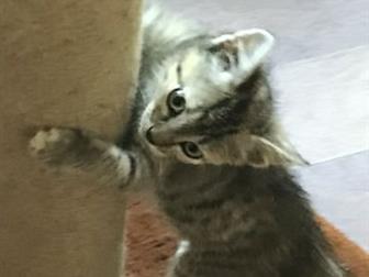   ,  ,,    ,   2 ,    ,    ,   ,  