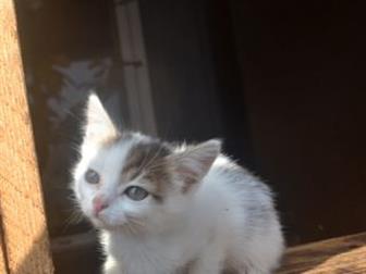  ,     2 ,    ,      ,  