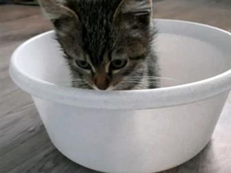 ,       ,   , ,      ,  ,     )))  