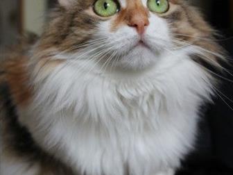          !3-,   ,   1 ,  , , , ,  