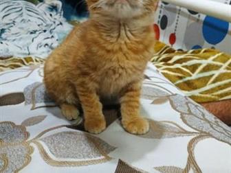     ,   7 ,    ,   ,   ,   ,     !  