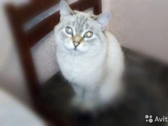     !  -  ,  ,  , ,    ,      