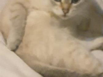     !  -  ,  ,  , ,    ,      