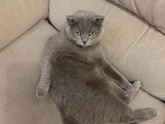  ,      ,   2 ,  , ,    ,     ,     