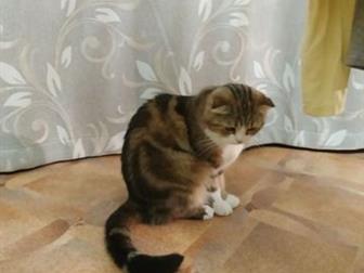    , ,    3 ,         ,  ,   ,   5,    ,  