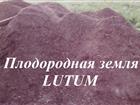       LUTUM        32347817  -